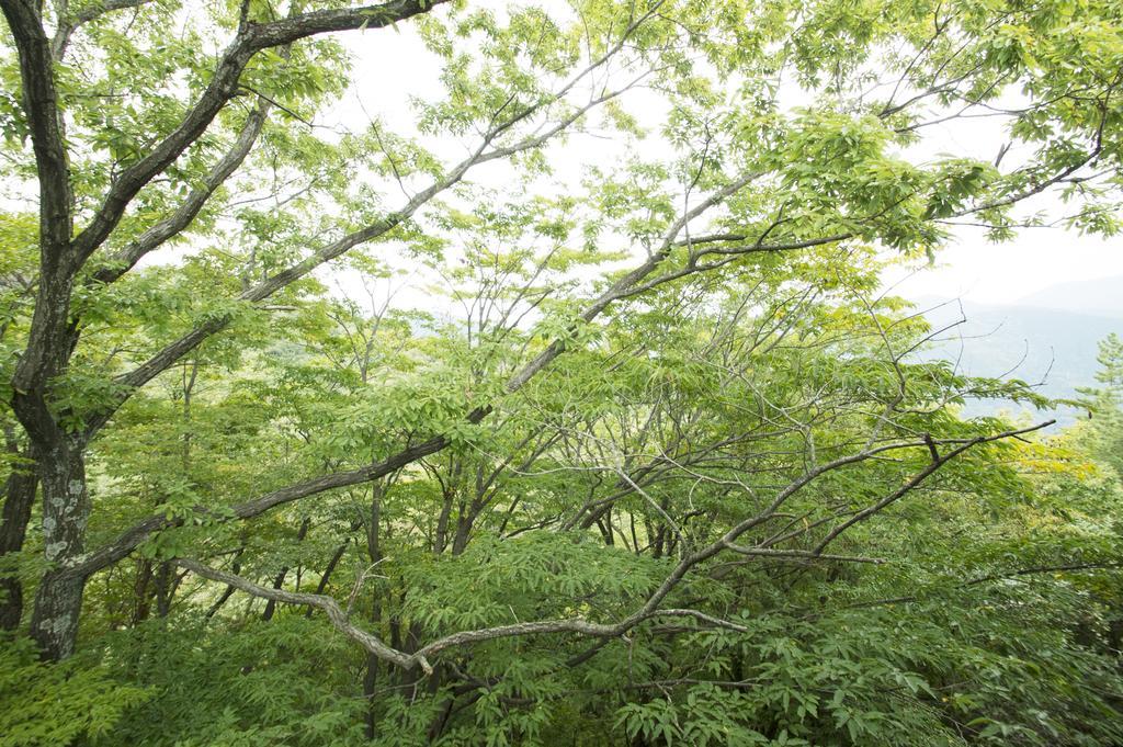 Gora Hanaougi Madoka No Mori Hakone Phòng bức ảnh